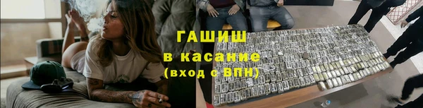 ПСИЛОЦИБИНОВЫЕ ГРИБЫ Новозыбков