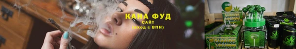стафф Новокубанск