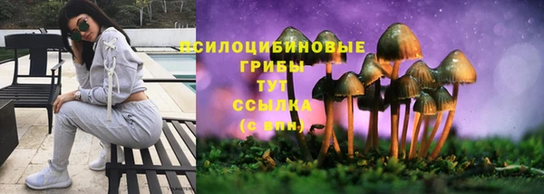 эйфоретик Нефтегорск