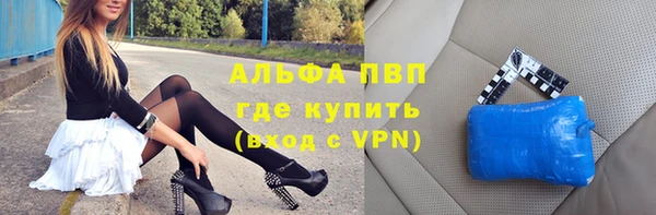 ПСИЛОЦИБИНОВЫЕ ГРИБЫ Новозыбков